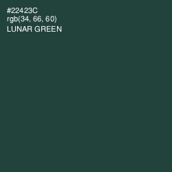 #22423C - Lunar Green Color Image